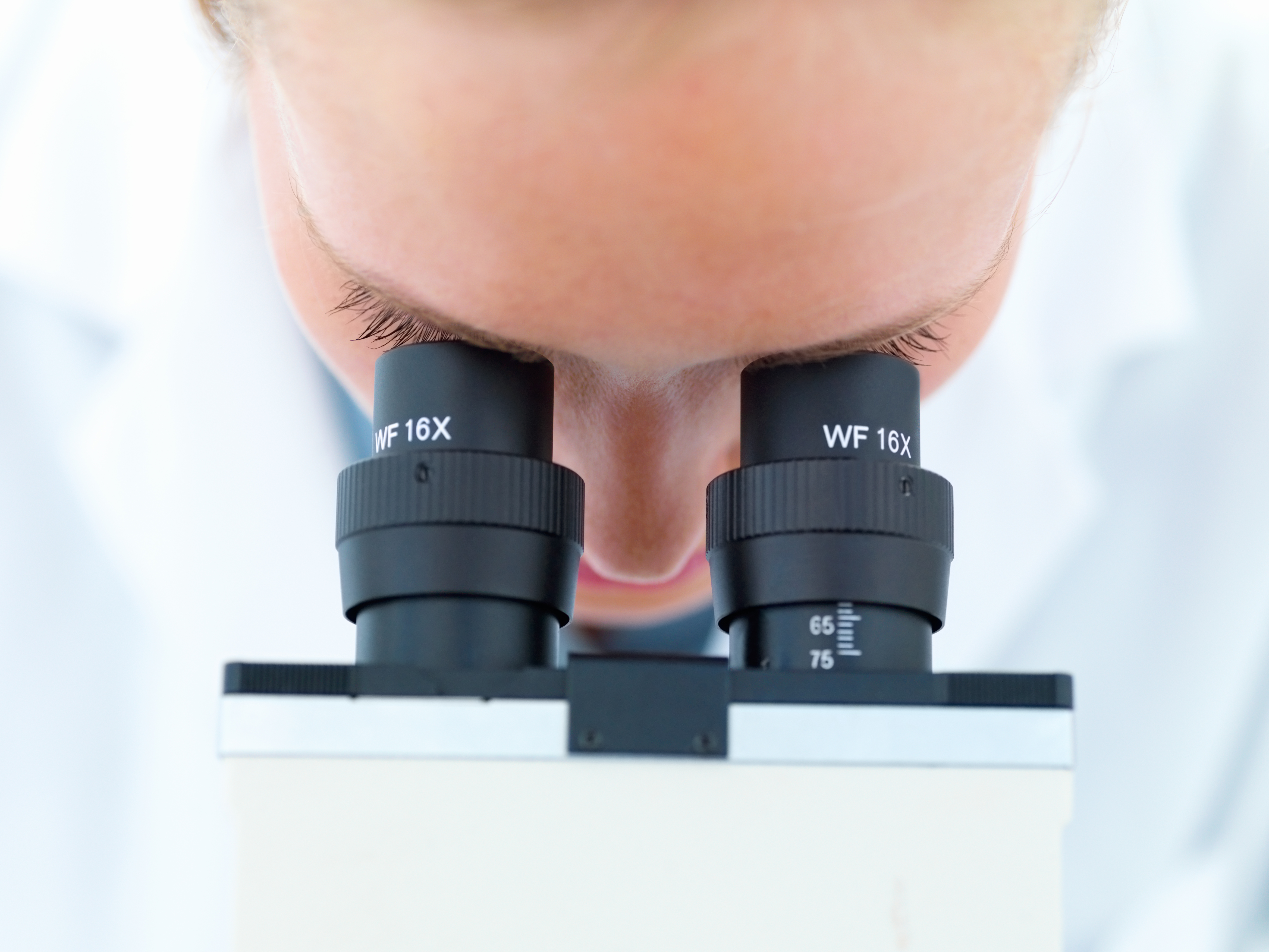 Zur Seite: DFG-Projekte