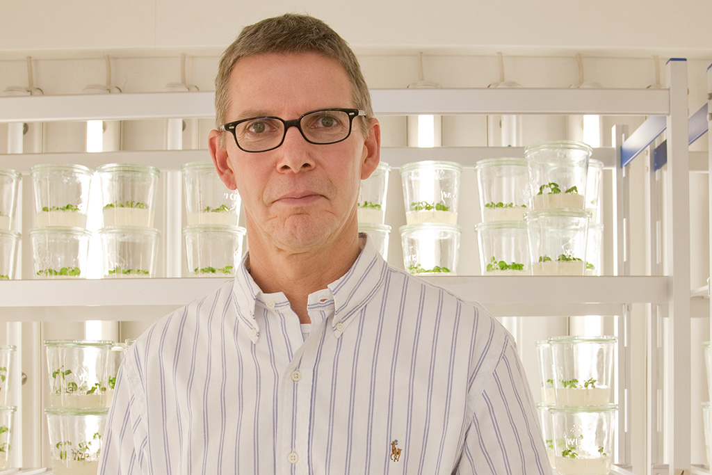 Zum Artikel "zdf-info: Prof. Dr. Uwe Sonnewald zur Anpassung von Pflanzen an den Klimawandel"