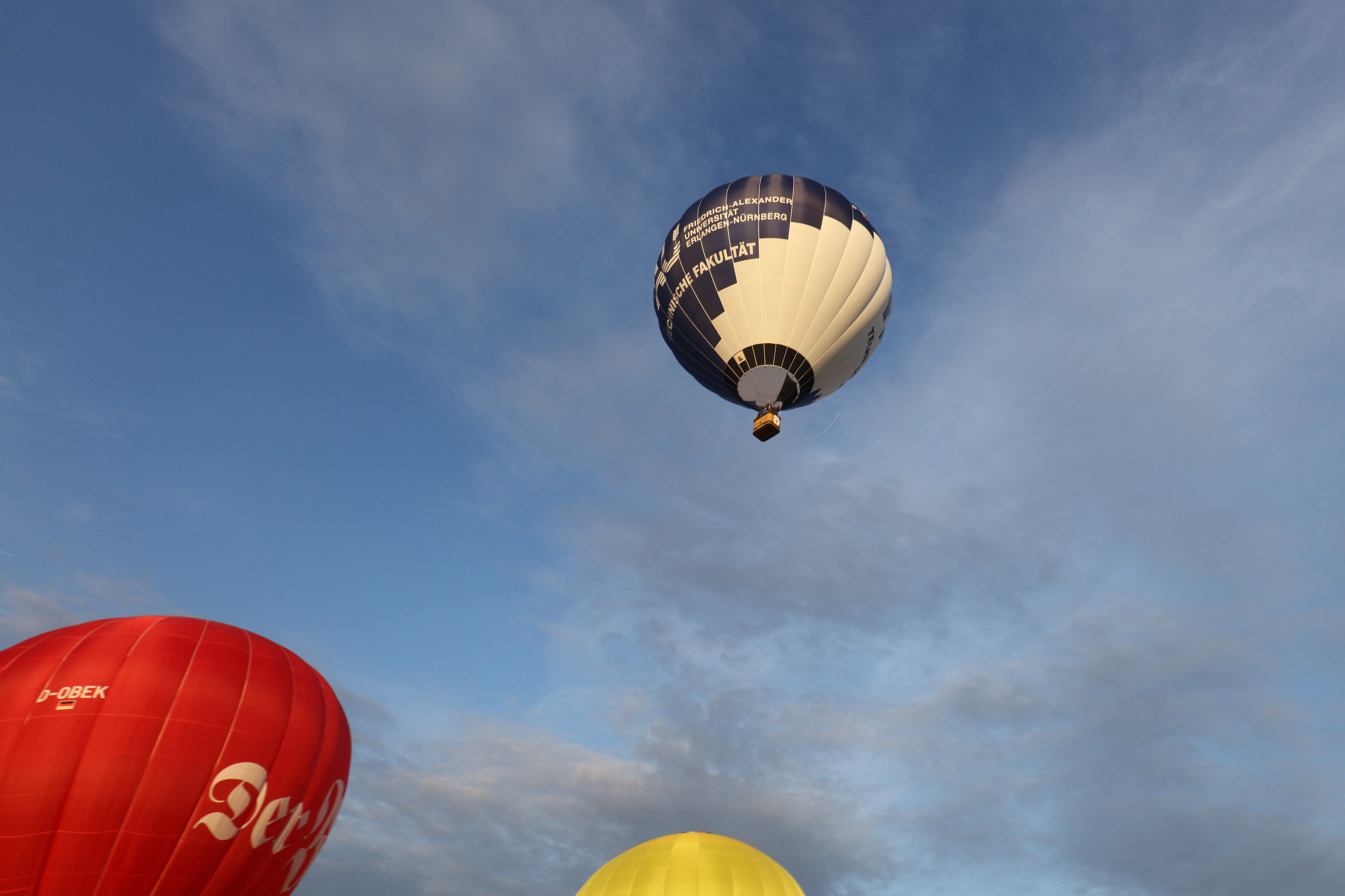 Zum 50. Geburtstag hat die TechFak der FAU einen Ballon gesponsert bekommen. Tauffahrt war am 2. Juli 2016 in Begleitung weiterer Ballons in der Fränkischen Schweiz. (Bild: FAU/Kurt Fuchs)