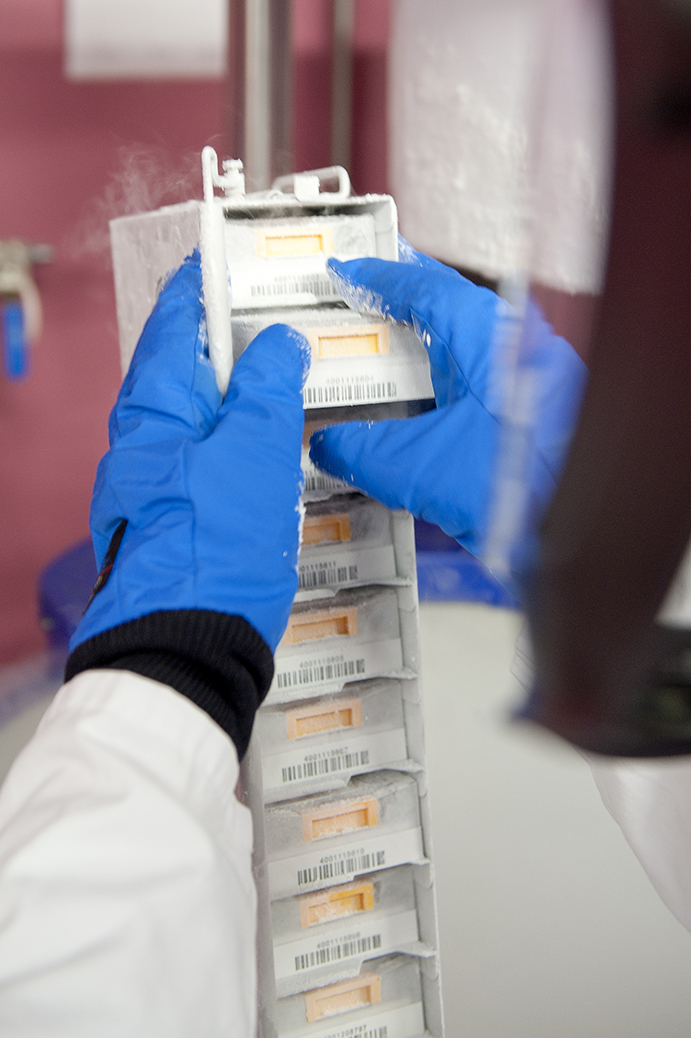 Mensch sortiert kleine Plastikfächer