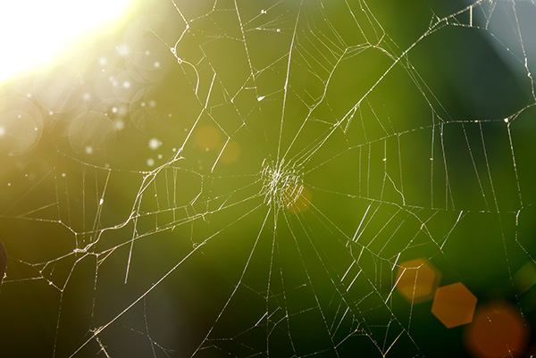 Symbolbild zum Artikel. Der Link öffnet das Bild in einer großen Anzeige.