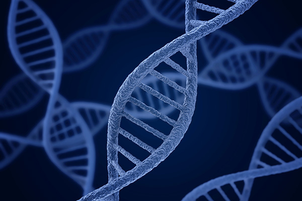 Zum Artikel "DNA kann viel mehr als nur genetische Informationen speichern"