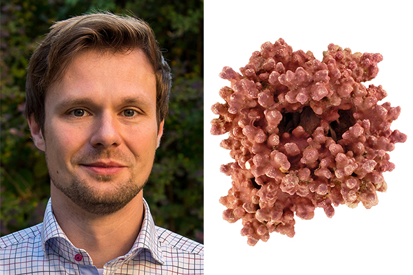 Zum Artikel "Algenriffe: FAU-Paläontologe präsentiert Forschungsthema auf ARD-alpha"