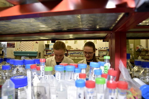 Zum Artikel "Mit Proteinen gegen Darmkrebs"