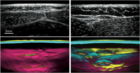 Zum Artikel "Therapien objektiv begleiten"