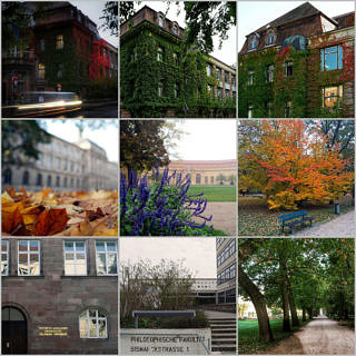 Zum Artikel "Bildergalerie: Instagram-Rückblick 2020"