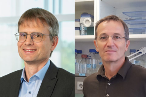 Prof. Müller und Prof. Brabletz