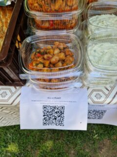 Studierende der FAU veranstalten vom Mittwoch bis Freitag, 3. bis 5. Mai, im Schlossgarten der FAU in Erlangen sowie am Roten Platz an der Technischen Fakultät der FAU Wohltätigkeitsverkäufe von Speisen für die Erdbebenopfer.