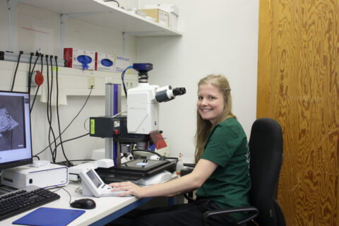 Zum Artikel "Eiszeit in Europa?"