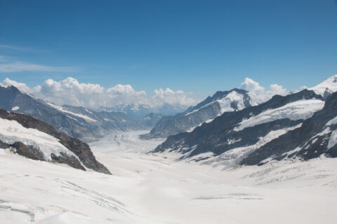 Blick vom Jungfraujoch über den Großen Aletschgletscher, Alpen. (Foto: Christian Sommer)