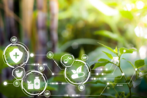 Zum Artikel "Nachhaltige Synthese von Biomolekülen und Arzneimitteln"