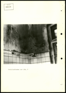 Entsprechend waren Wände feucht und zeigten bereits nach kurzer Zeit deutliche Schäden an.