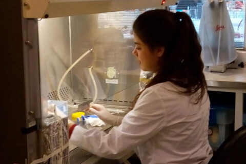 Zum Artikel "Mit Hänsel und Gretel das Zellverhalten verstehen"