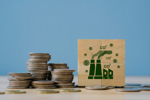 Zum Artikel "Studie: CO2-Steuer oft Fiskal- und nicht Klimapolitik"