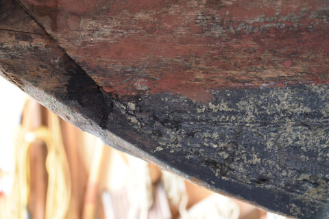 Detail des Rumpfes. (Bild: FAU/Boris Mijat)