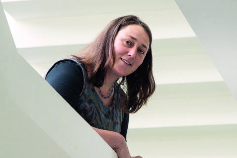 Symbolbild zum Artikel. Der Link öffnet das Bild in einer großen Anzeige.