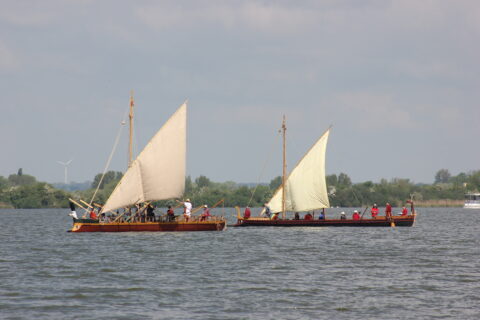 Die Danuvina alacris (l.) und die F.A.N. (r.) (Bild: FAU/Fotograf)