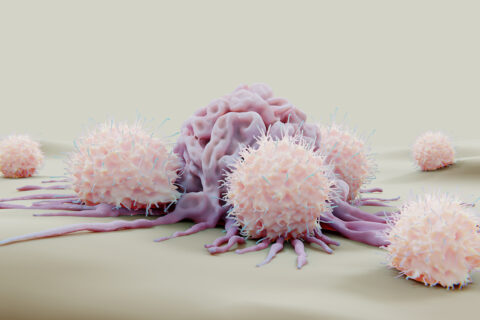 Zum Artikel "Killerzellen: Wie das Immunsystem seine Abwehrtruppen auswählt"