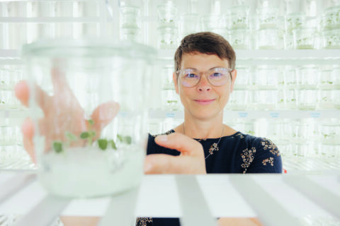 Frau Sonnewald, eine Frau mittleren alters mit braunen Haaren und Brille, hält ein Glas mit einem Kartoffelableger in die Kamera.