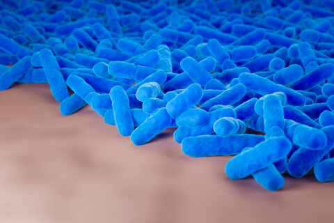 Zum Artikel "Neues Forschungsprojekt: Wie Bakterien zusammenhalten"